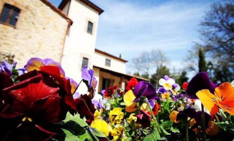 Ristorante ad Amelia Il Podere San Giuseppe